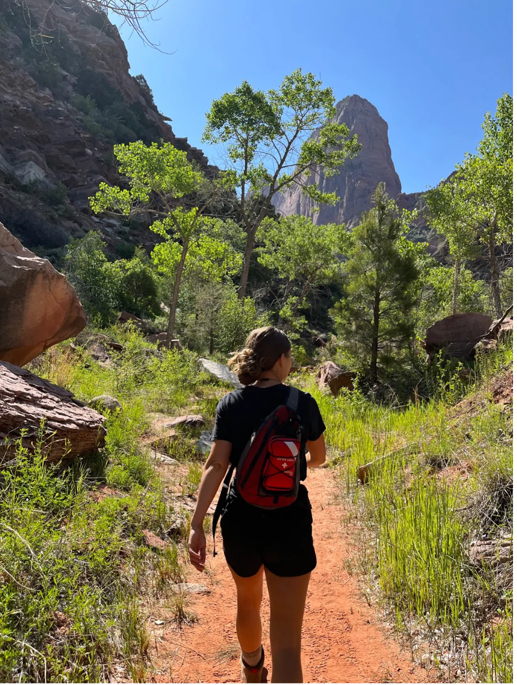 自然再生：走出戶外的療癒潛力