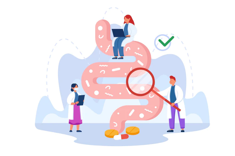 健康的腸道菌群如何抵抗發炎並增強福祉